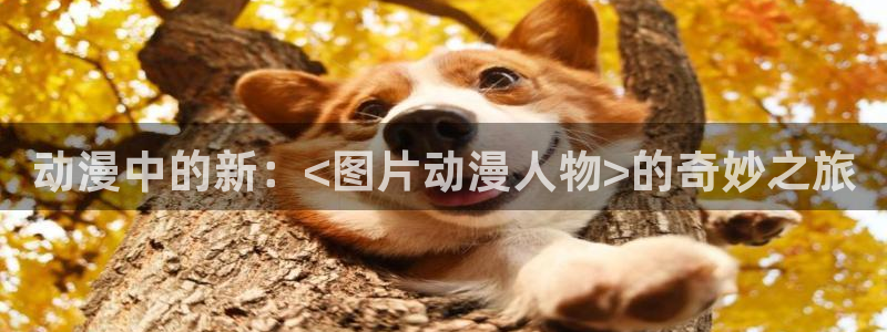火狼动漫旧版官网入口